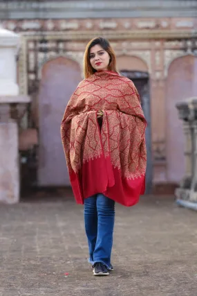 Charismatic Maroon Colour Embroidered Sozni Shawl Enriched With Beautiful Jaal Pattern Having Paisley And Border